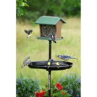 Seed Buster Tray Feeder and Seed Catcher-BD1020